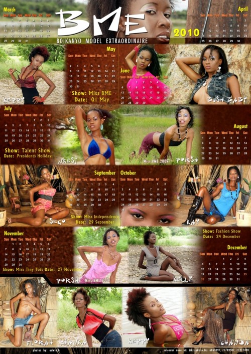 BME Calendar 2010